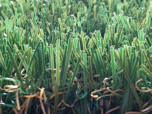 人造草坪四色草